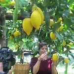A Pastaiola Cetara