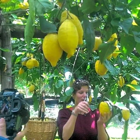 A Pastaiola